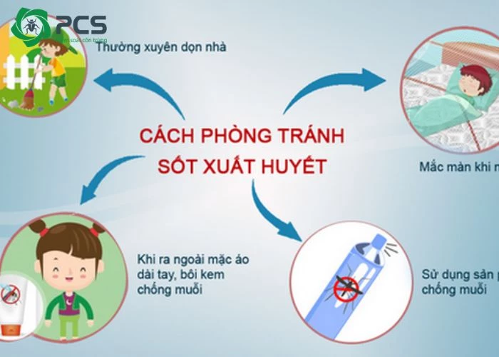 muỗi nào đốt gây sốt xuất huyết